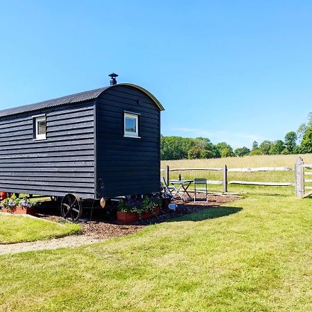Crabden Shepherd Hut - Blendworth Villa Waterlooville Dış mekan fotoğraf