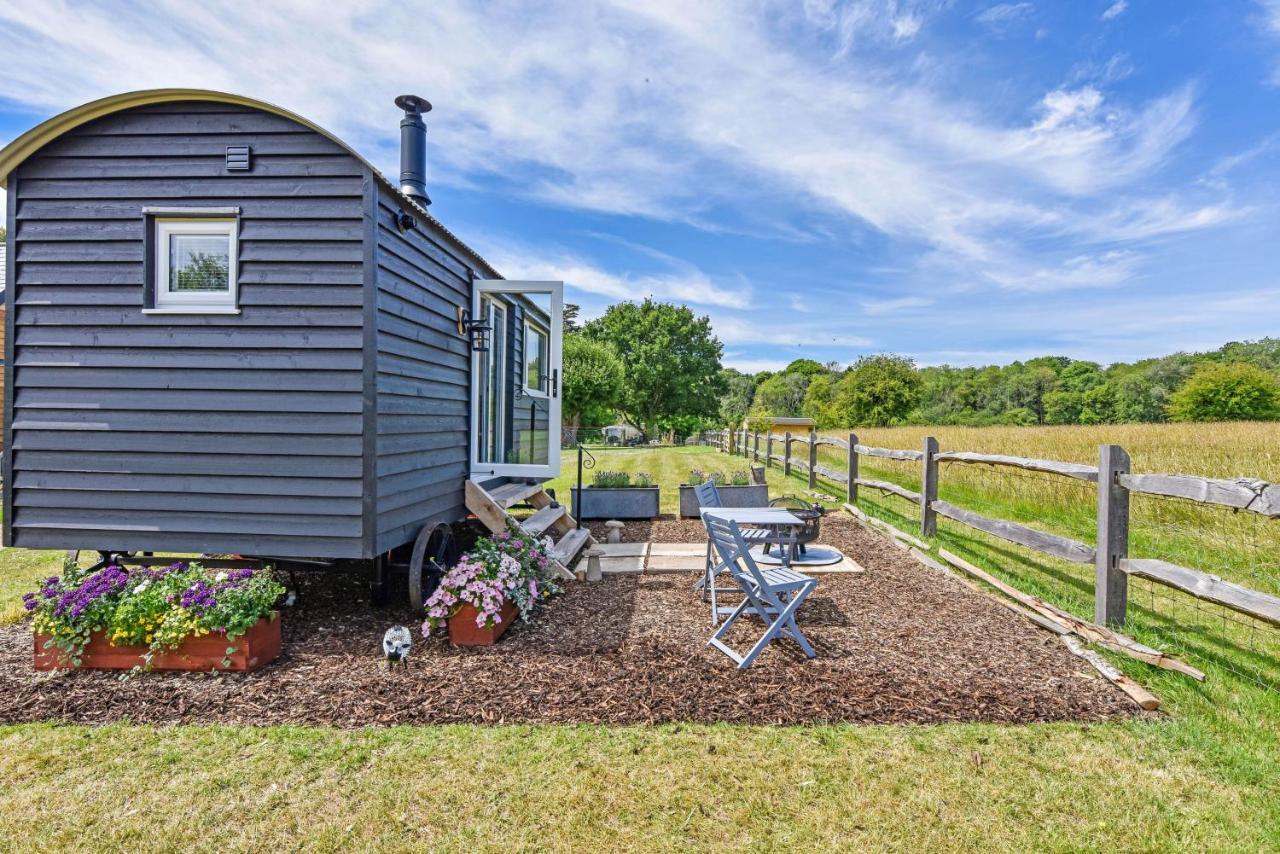 Crabden Shepherd Hut - Blendworth Villa Waterlooville Dış mekan fotoğraf