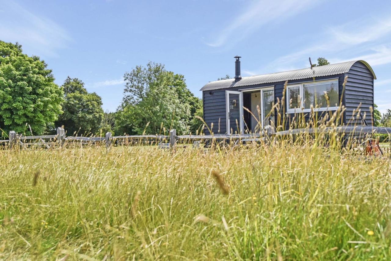 Crabden Shepherd Hut - Blendworth Villa Waterlooville Dış mekan fotoğraf