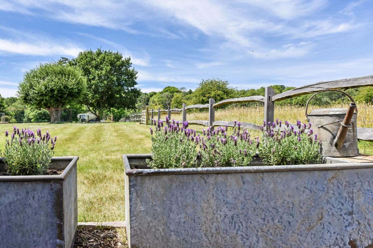 Crabden Shepherd Hut - Blendworth Villa Waterlooville Dış mekan fotoğraf