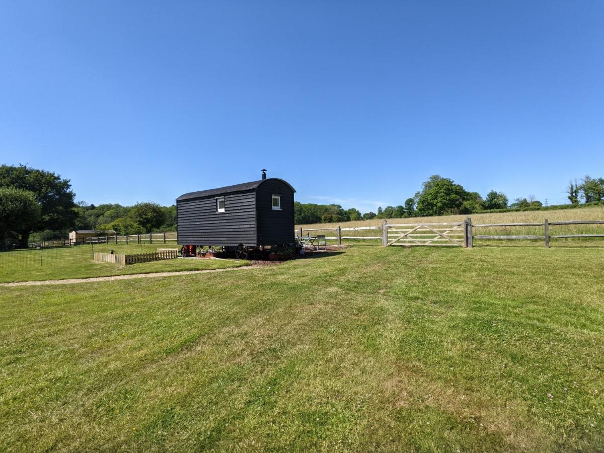Crabden Shepherd Hut - Blendworth Villa Waterlooville Dış mekan fotoğraf